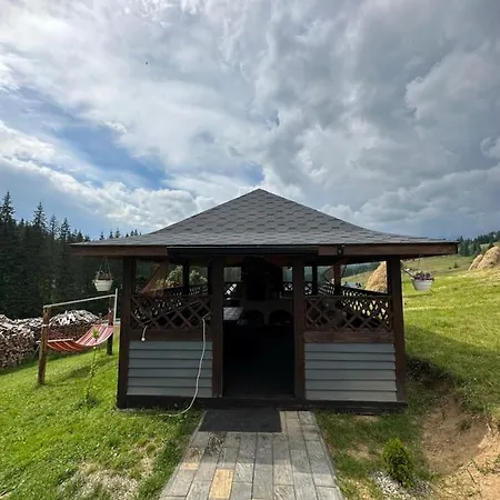 Guest house приватна Shafran 3*