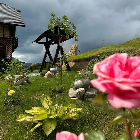 Guest house приватна Shafran 3*