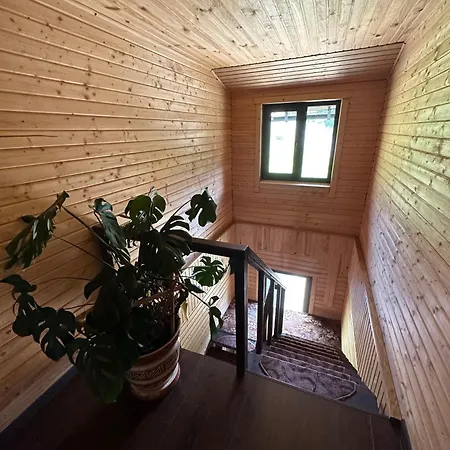 приватна Shafran 3*