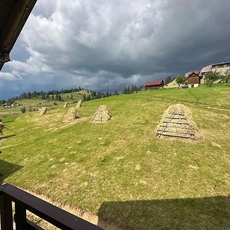 приватна Shafran Yablunytsya