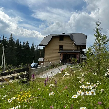 Guest house приватна Shafran