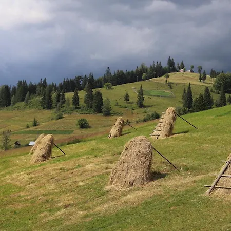 приватна Shafran Guest house
