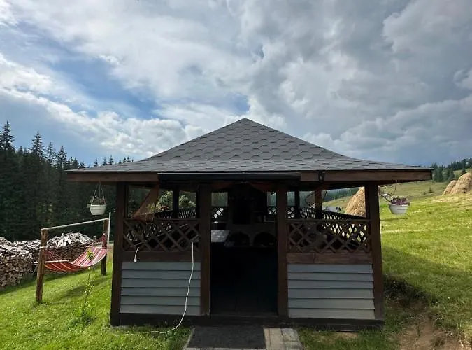 Guest house приватна Shafran 3*