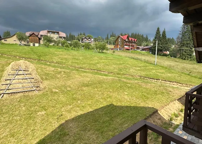 Guest house приватна Shafran 3*