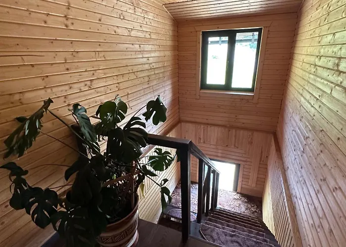 приватна Shafran 3*