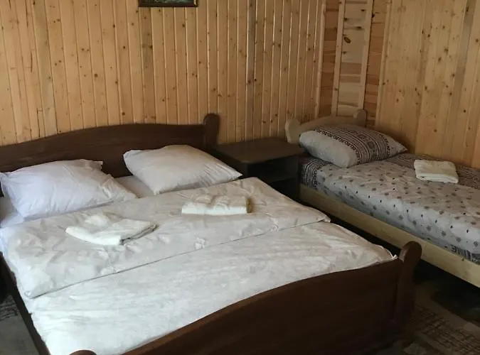 Гостевой дом приватна Shafran